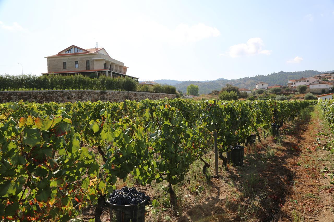 Quinta Do Palame Villa Vila Flor Bagian luar foto